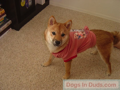 Ninja in USA shirt