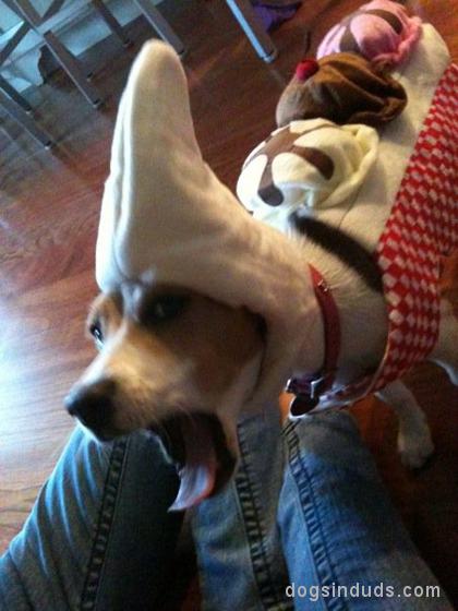dog banana costume banana split dog costume beagle