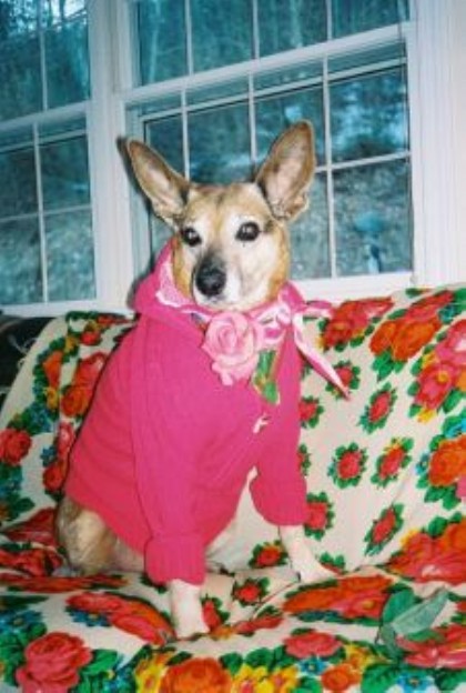 oscar in a dress