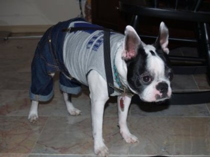 otis in jeans