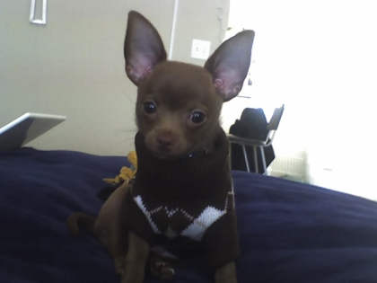 pablo in a sweater