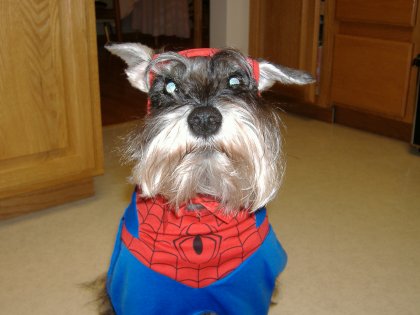 peter parker is back