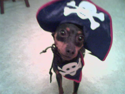 jellybean the pirate
