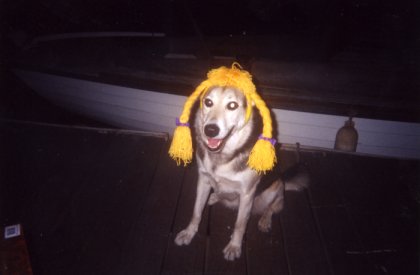 poodi working the docks