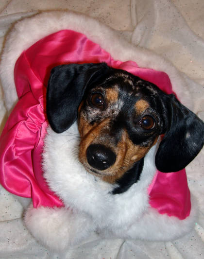 presley clause