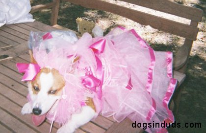 dog bridesmaid dress, pink bridesmaid dress, dog wedding dress, dog wedding, dog flowergirl dress