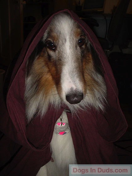 Ray Gun The Jedi Knight