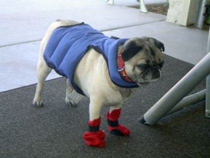 gotta be the shoes