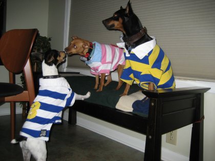funny min pin