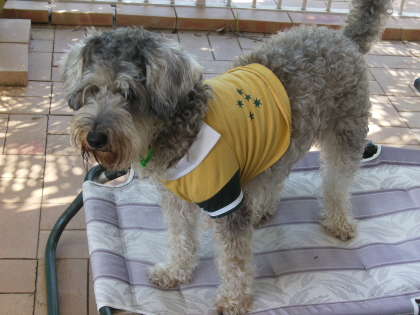 rusty in shirt
