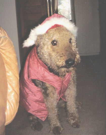 Sad winter lucy