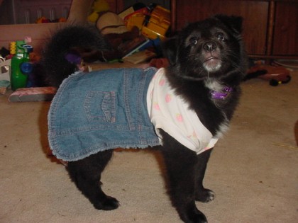 sadie in a dress