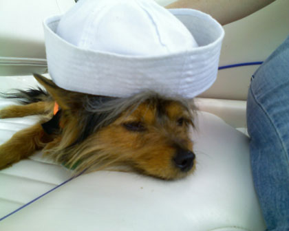lly lost at sea