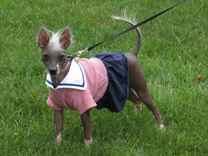 sailor