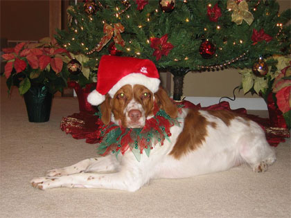 gunner as santa