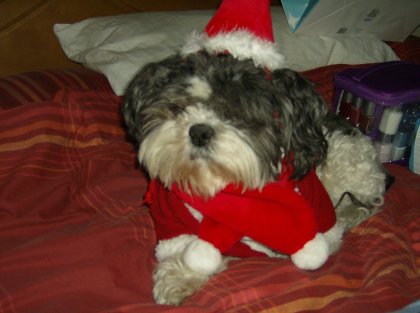 santa simba