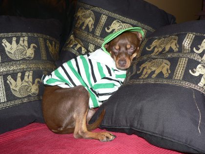 funny min pin