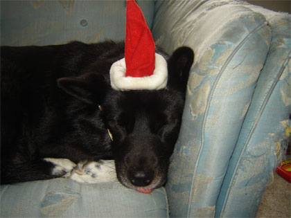 sleepy dulcee