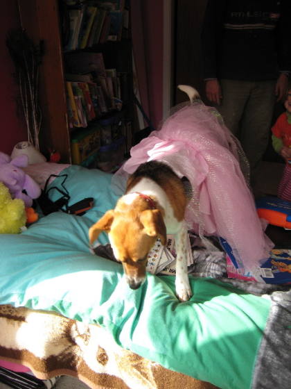 sophie in her dress