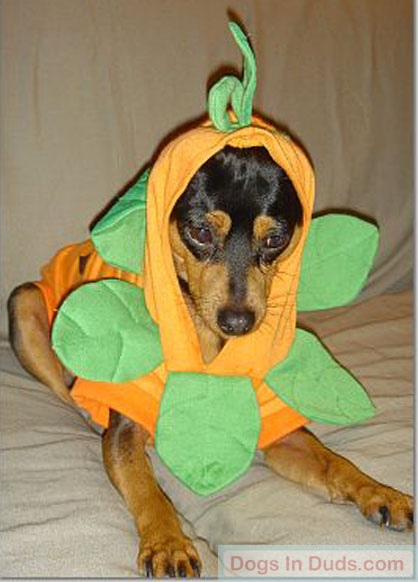 Spike