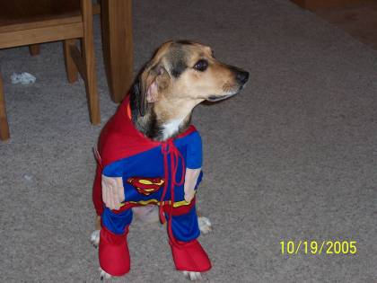 super lucy