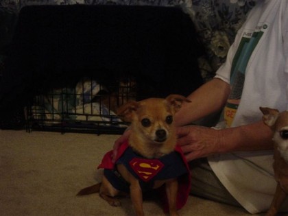 ben is super