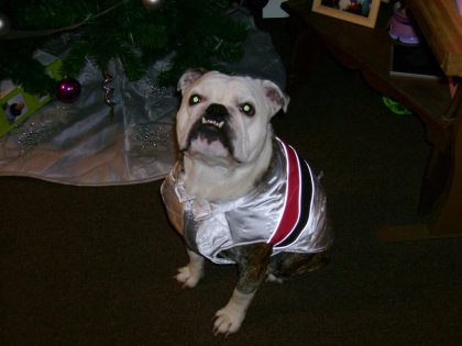 baxter is the champ