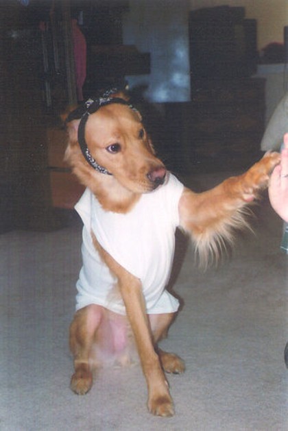 thug life