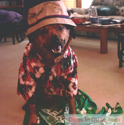 Tropical Reese