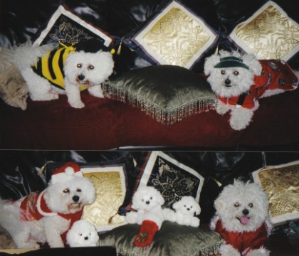 tuffy and penny