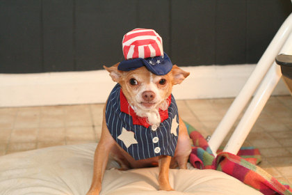 uncle sam
