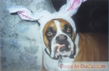 ty_easter.jpg