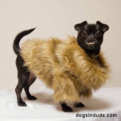 ugly fur coat