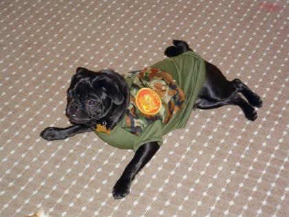 usmc