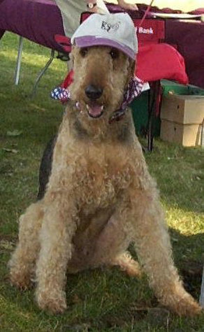 waldo at the park