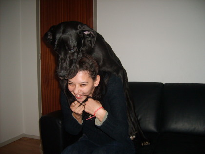 when dogs attack
