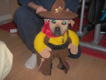Clothes,Dog Costume,Funny