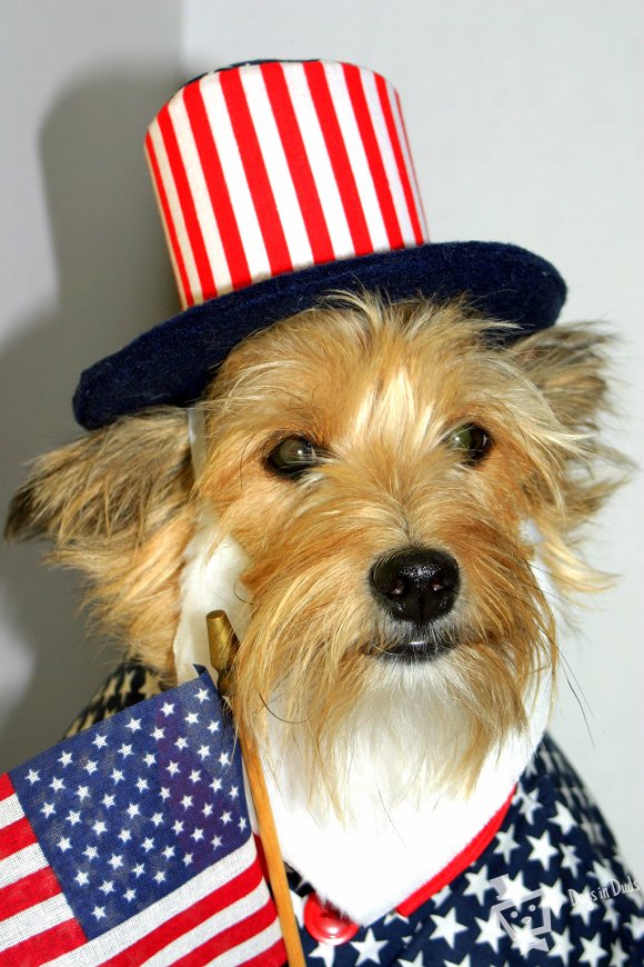 The Patriot