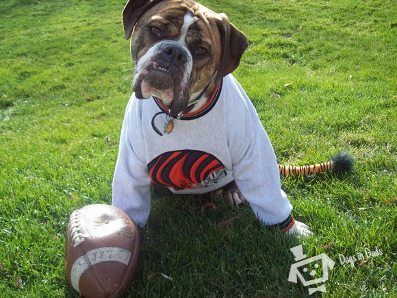 Are you ready for some football???