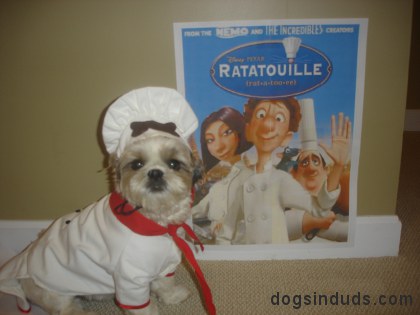 CHEF GUSTAVE, SHIH TZU, RATATOUILLE, funny, cutem disney, movie, chef hat, dog chef, chef dog costume