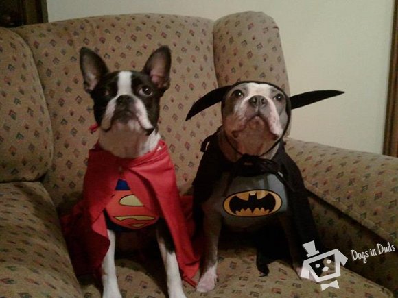 Superman and Batman costumes