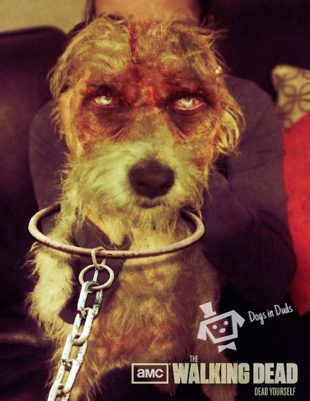 The Barking Dead