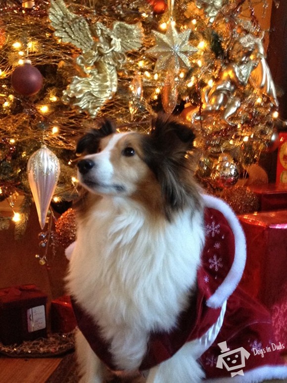 A Very Lola Christmas