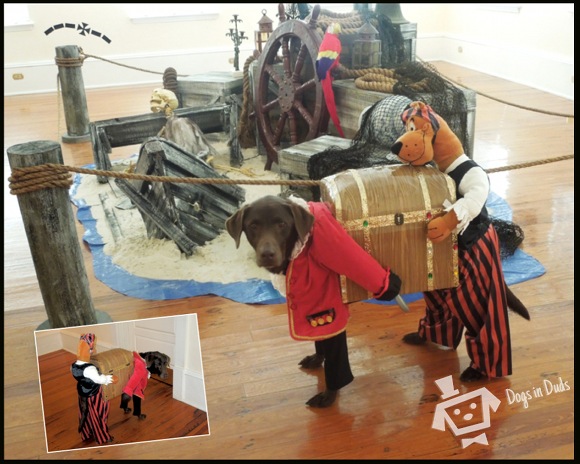 pirate dog costume