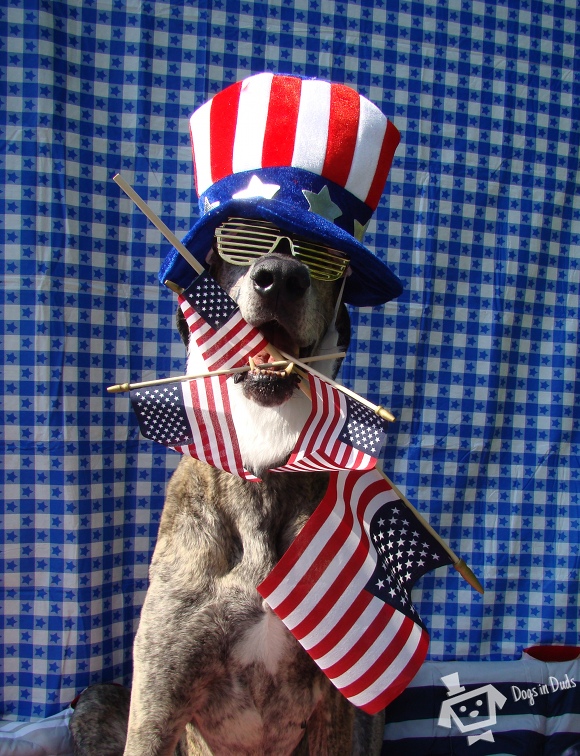 Merica