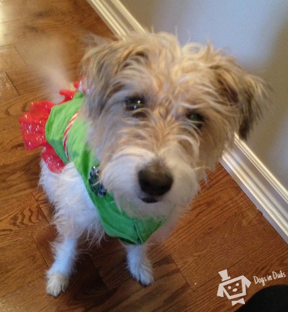 Santa’s Bad Little Helper