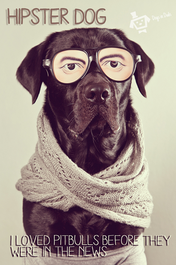 Labs are so Mainstream