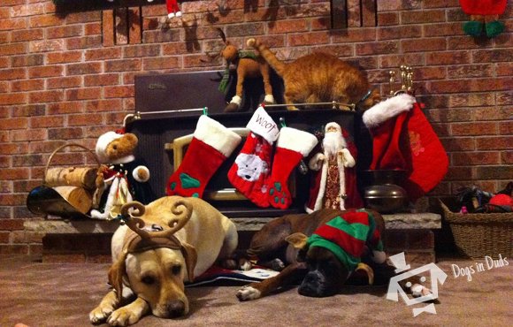 Waiting For Santa