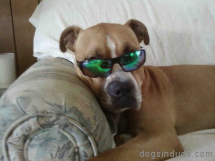 Hangin’ Tough