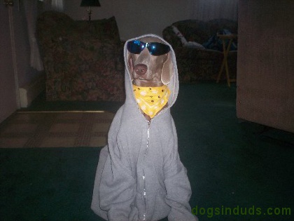 Yo Dawg